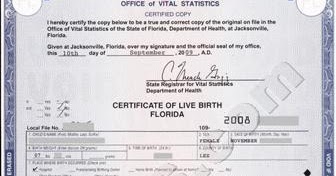 removing non biological father from birth certificate in florida